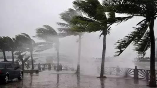 8月臺風雨即將來，除濕機還得用起來