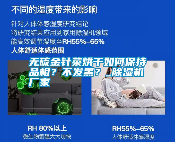 無(wú)硫金針菜烘干如何保持品相？不發(fā)黑？_除濕機(jī)廠家