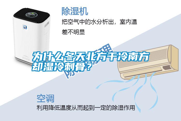 為什么冬天北方干冷南方卻濕冷刺骨？