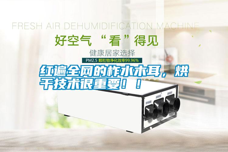 紅遍全網(wǎng)的柞水木耳，烘干技術(shù)很重要??！