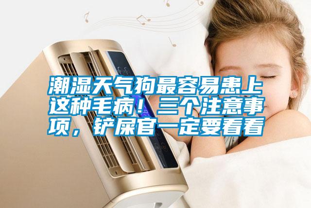 潮濕天氣狗最容易患上這種毛?。∪齻€注意事項，鏟屎官一定要看看