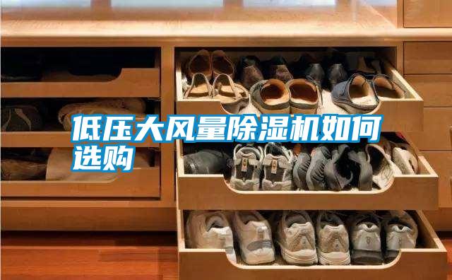 低壓大風(fēng)量除濕機如何選購