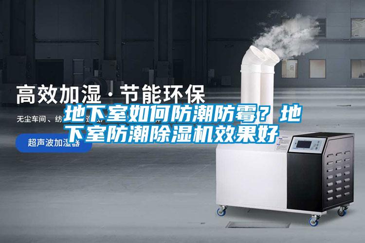 地下室如何防潮防霉？地下室防潮除濕機(jī)效果好