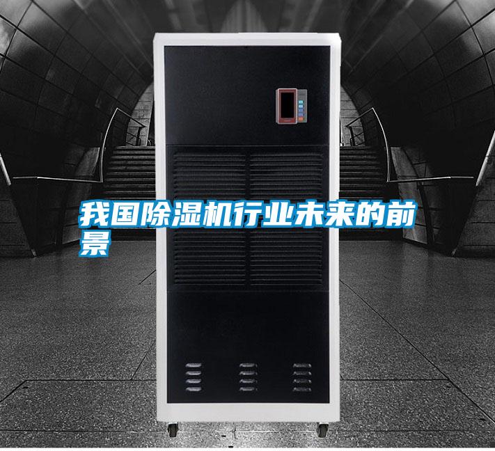 我國除濕機(jī)行業(yè)未來的前景