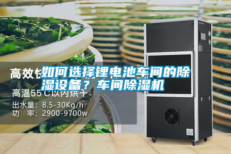 如何選擇鋰電池車間的除濕設(shè)備？車間除濕機(jī)