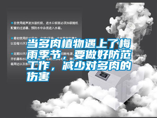 當(dāng)多肉植物遇上了梅雨季節(jié)，要做好防范工作，減少對多肉的傷害