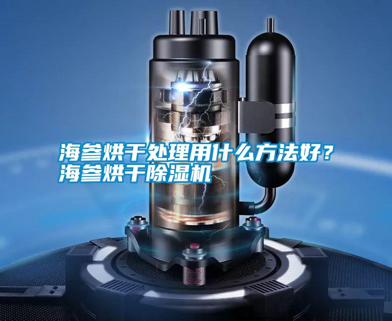 海參烘干處理用什么方法好？海參烘干除濕機(jī)
