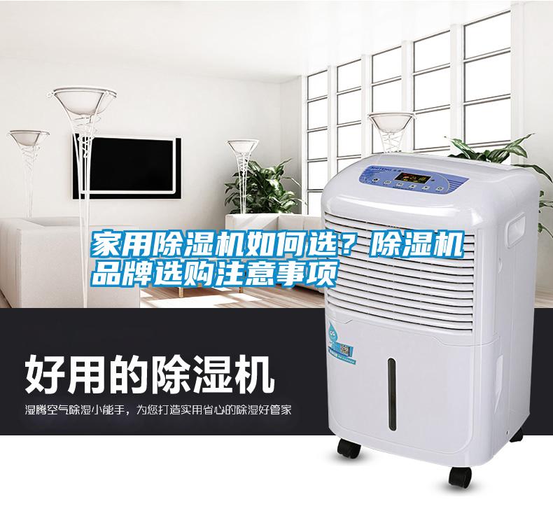 家用除濕機如何選？除濕機品牌選購注意事項