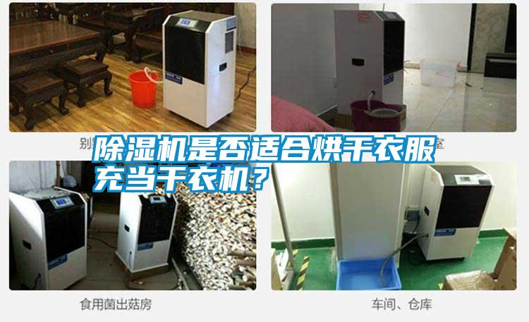 除濕機(jī)是否適合烘干衣服充當(dāng)干衣機(jī)？