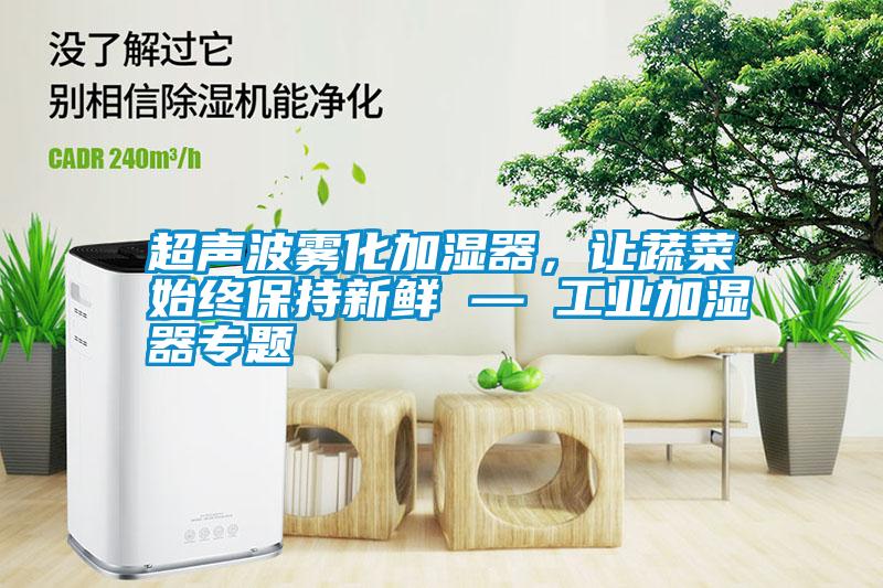 超聲波霧化加濕器，讓蔬菜始終保持新鮮 — 工業(yè)加濕器專題