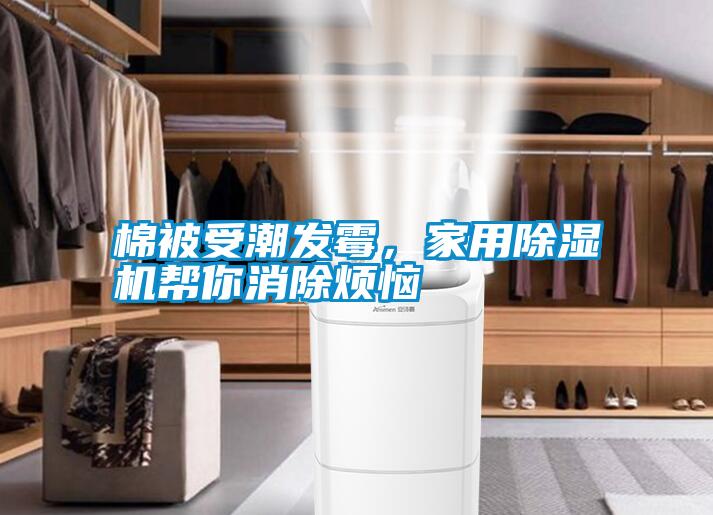 棉被受潮發(fā)霉，家用除濕機幫你消除煩惱