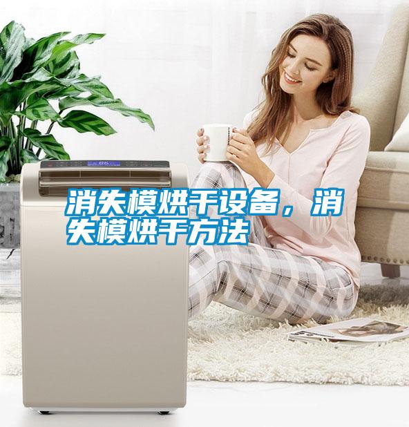 消失模烘干設(shè)備，消失模烘干方法