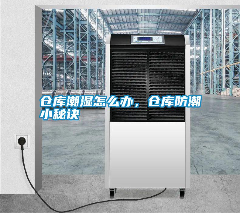 倉(cāng)庫(kù)潮濕怎么辦，倉(cāng)庫(kù)防潮小秘訣