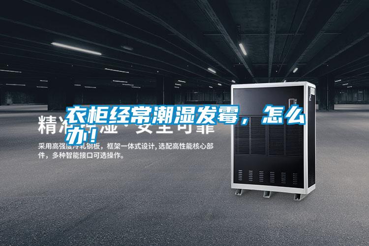 衣柜經(jīng)常潮濕發(fā)霉，怎么辦！