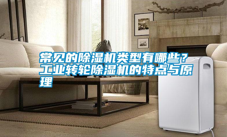 常見的除濕機(jī)類型有哪些？工業(yè)轉(zhuǎn)輪除濕機(jī)的特點與原理