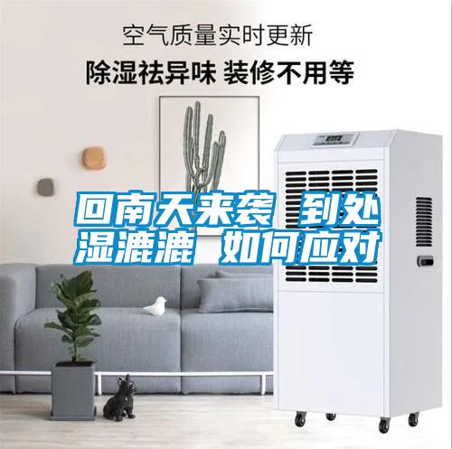 回南天來襲 到處濕漉漉 如何應(yīng)對