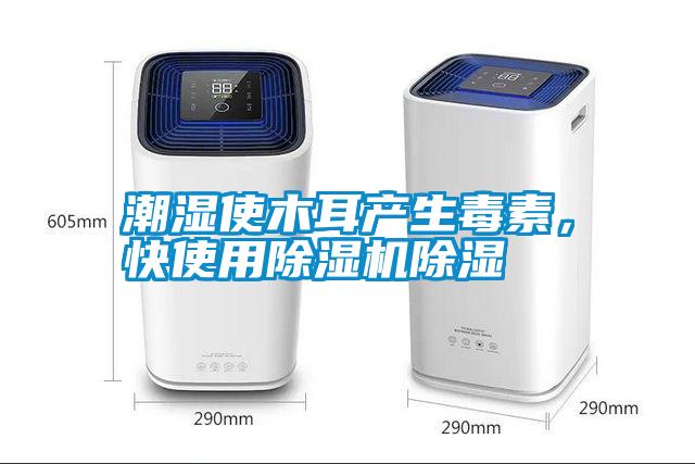 潮濕使木耳產(chǎn)生毒素，快使用除濕機(jī)除濕
