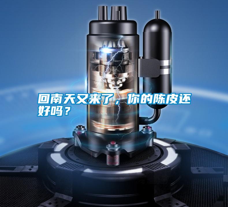回南天又來了，你的陳皮還好嗎？