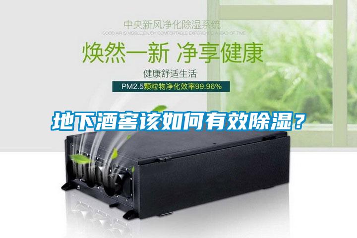 地下酒窖該如何有效除濕？