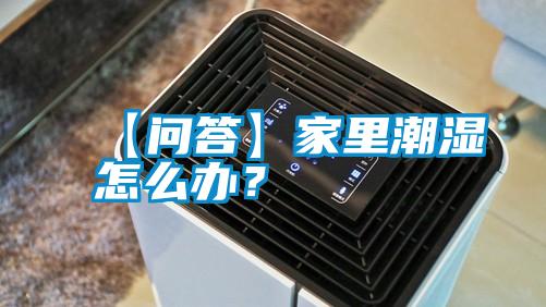 【問答】家里潮濕怎么辦？