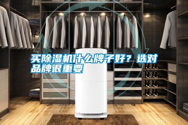 買除濕機(jī)什么牌子好？選對(duì)品牌很重要