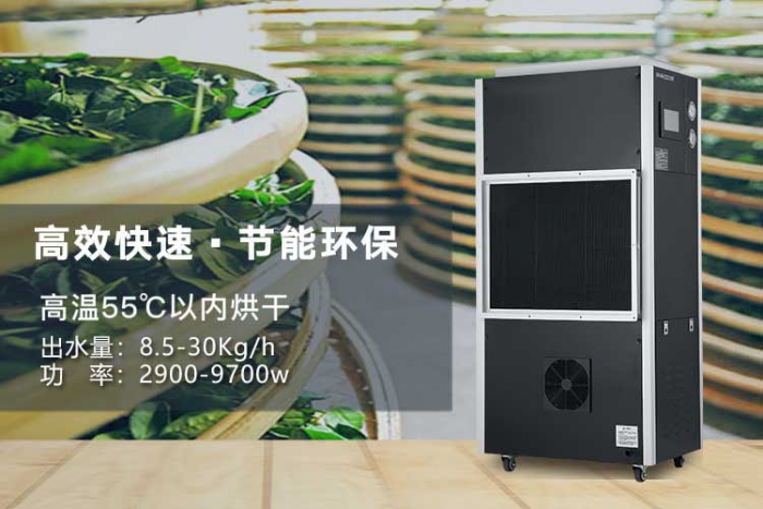 濕氣重的人，是不是更容易出汗？
