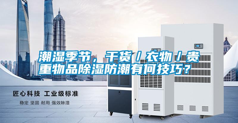 潮濕季節(jié)，干貨／衣物／貴重物品除濕防潮有何技巧？