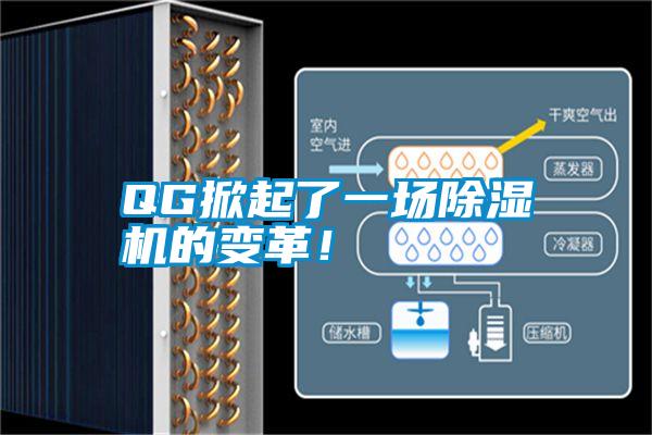 QG掀起了一場(chǎng)除濕機(jī)的變革！