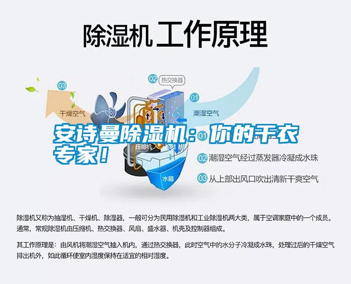 安詩曼除濕機：你的干衣專家！