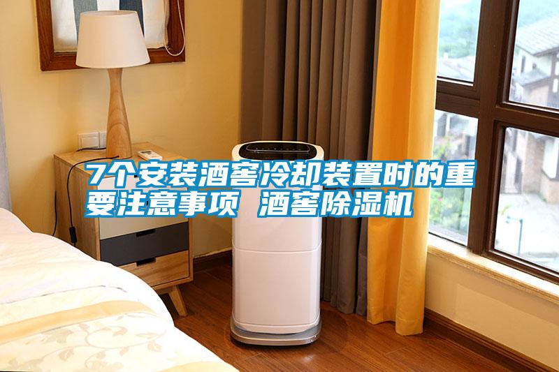 7個安裝酒窖冷卻裝置時的重要注意事項 酒窖除濕機(jī)