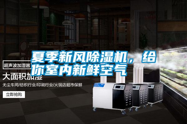 夏季新風(fēng)除濕機，給你室內(nèi)新鮮空氣