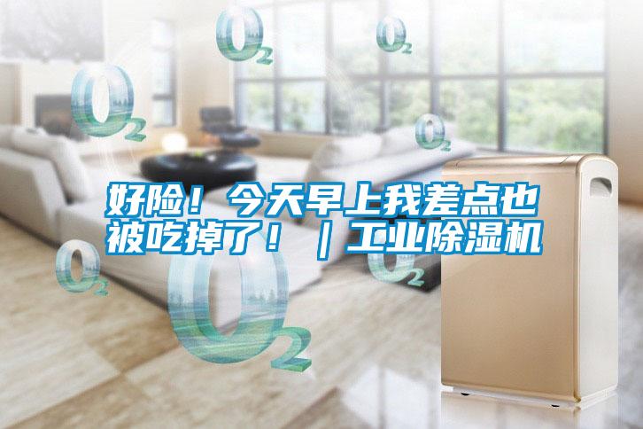 好險(xiǎn)！今天早上我差點(diǎn)也被吃掉了?。I(yè)除濕機(jī)