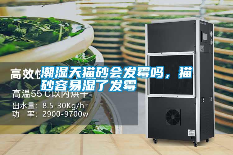 潮濕天貓砂會(huì)發(fā)霉嗎，貓砂容易濕了發(fā)霉