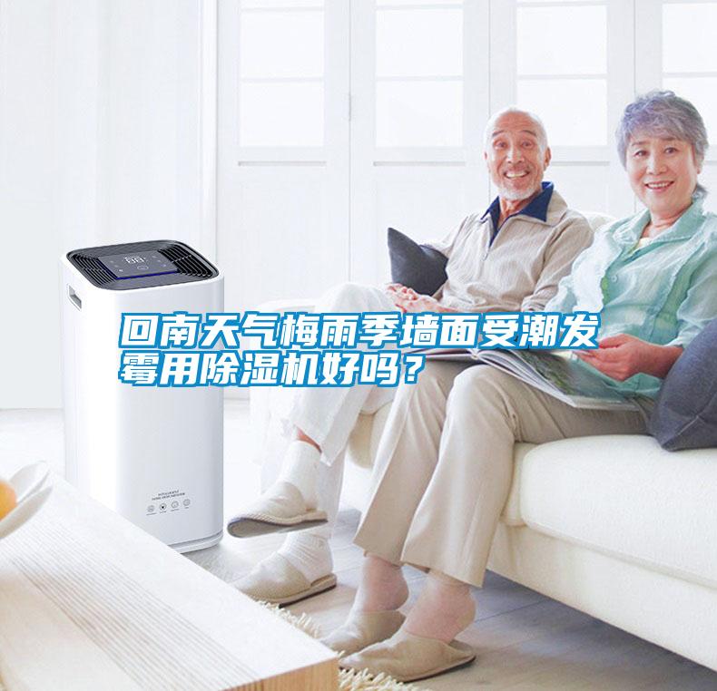 回南天氣梅雨季墻面受潮發(fā)霉用除濕機好嗎？