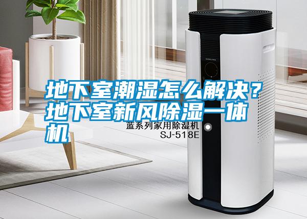 地下室潮濕怎么解決？地下室新風(fēng)除濕一體機(jī)