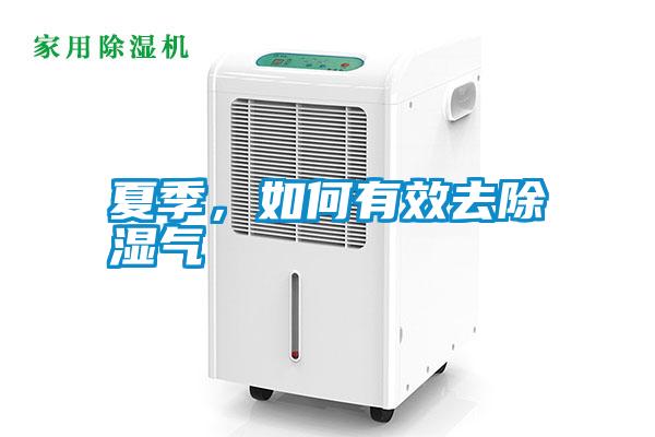 夏季，如何有效去除濕氣