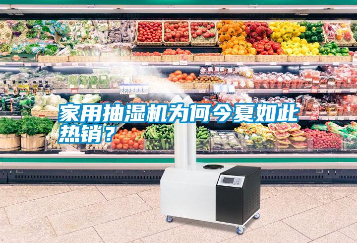 家用抽濕機(jī)為何今夏如此熱銷？