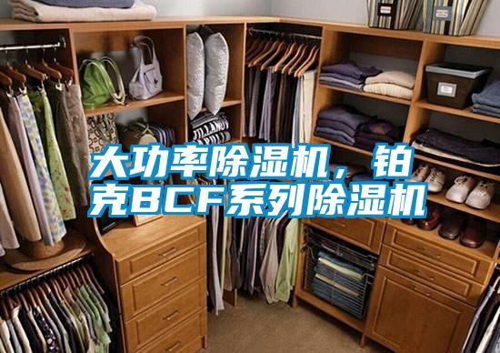 大功率除濕機(jī)，鉑克BCF系列除濕機(jī)