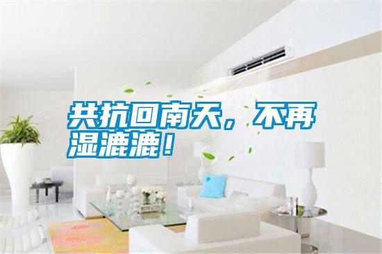 共抗回南天，不再濕漉漉！