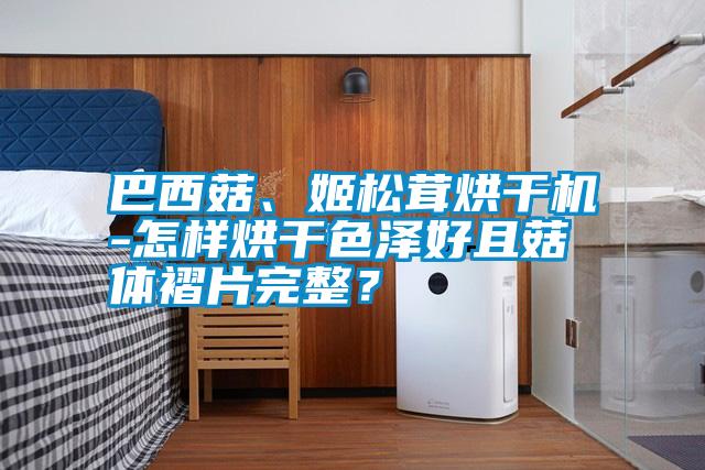 巴西菇、姬松茸烘干機(jī)-怎樣烘干色澤好且菇體褶片完整？