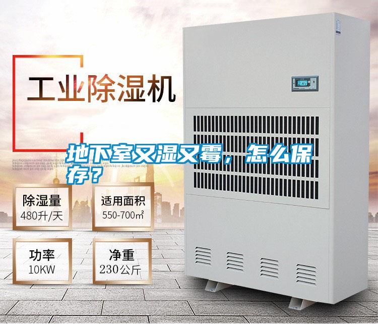 地下室又濕又霉，怎么保存？