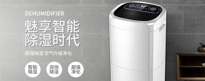 梅雨季怎么避免貓咪因潮濕而感染貓癬？