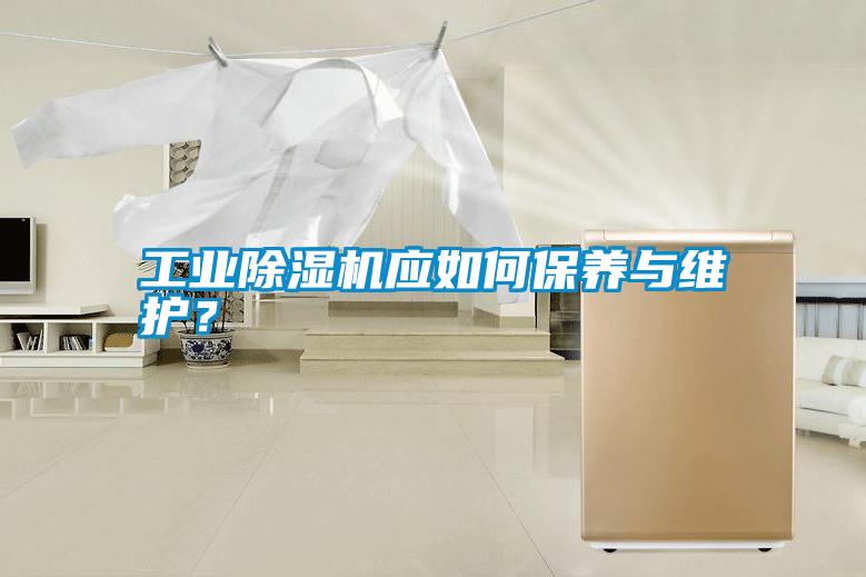 工業(yè)除濕機(jī)應(yīng)如何保養(yǎng)與維護(hù)？