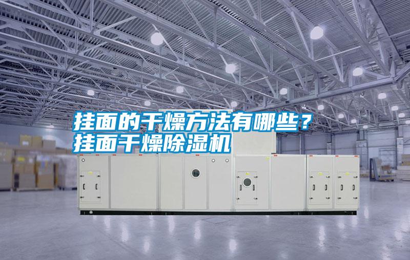 掛面的干燥方法有哪些？ 掛面干燥除濕機(jī)