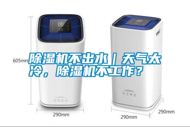 除濕機(jī)不出水｜天氣太冷，除濕機(jī)不工作？