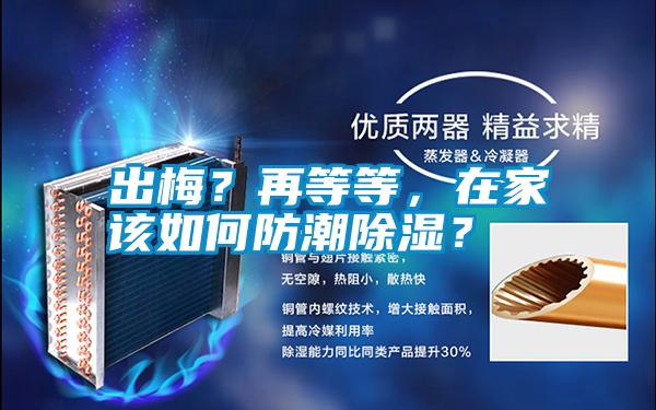 出梅？再等等，在家該如何防潮除濕？