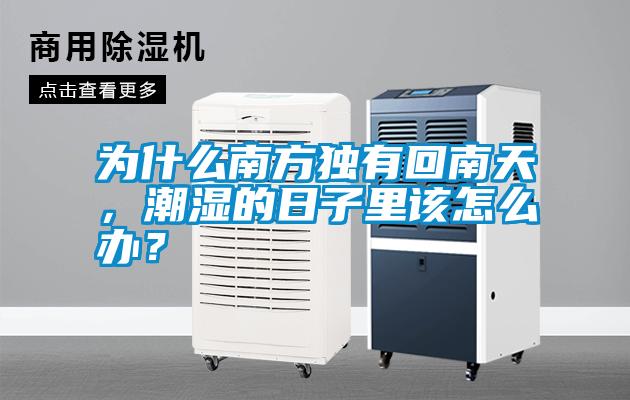 為什么南方獨(dú)有回南天，潮濕的日子里該怎么辦？