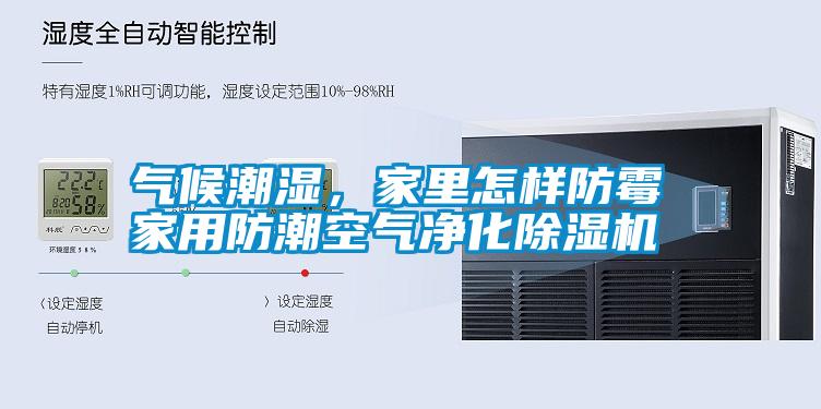 氣候潮濕，家里怎樣防霉 家用防潮空氣凈化除濕機(jī)