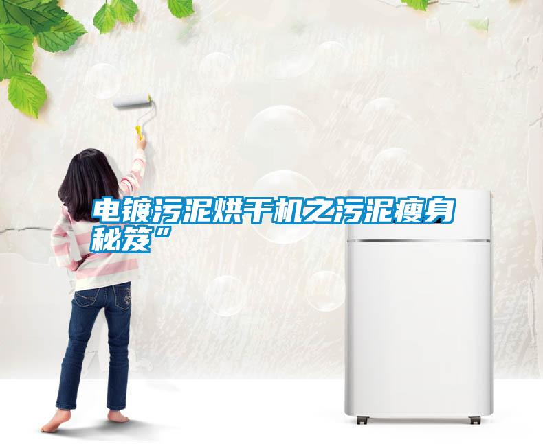 電鍍污泥烘干機(jī)之污泥瘦身秘笈”
