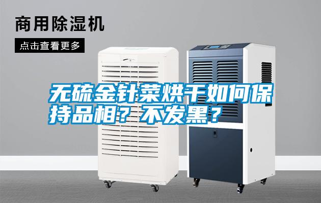 無硫金針菜烘干如何保持品相？不發(fā)黑？